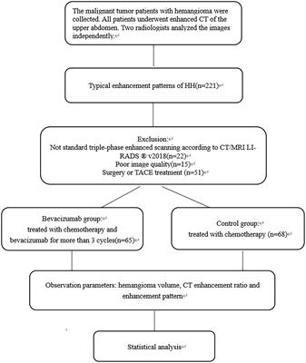 Can angiogenesis inhibitor therapy cause changes in imaging features of hepatic hemangioma- Initial study